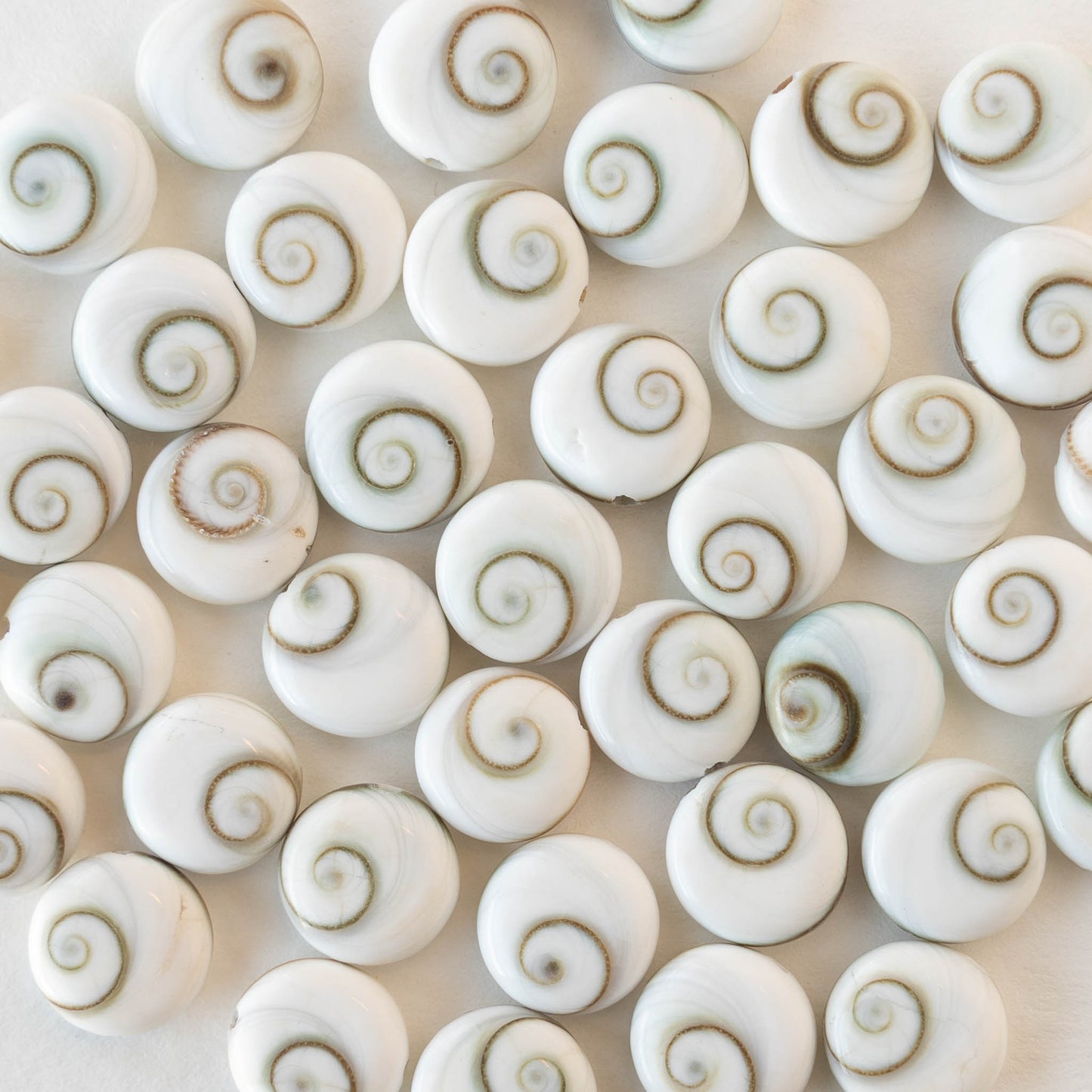 Shiva Shell Beads - 10mm Coin - 10 or 30 beads