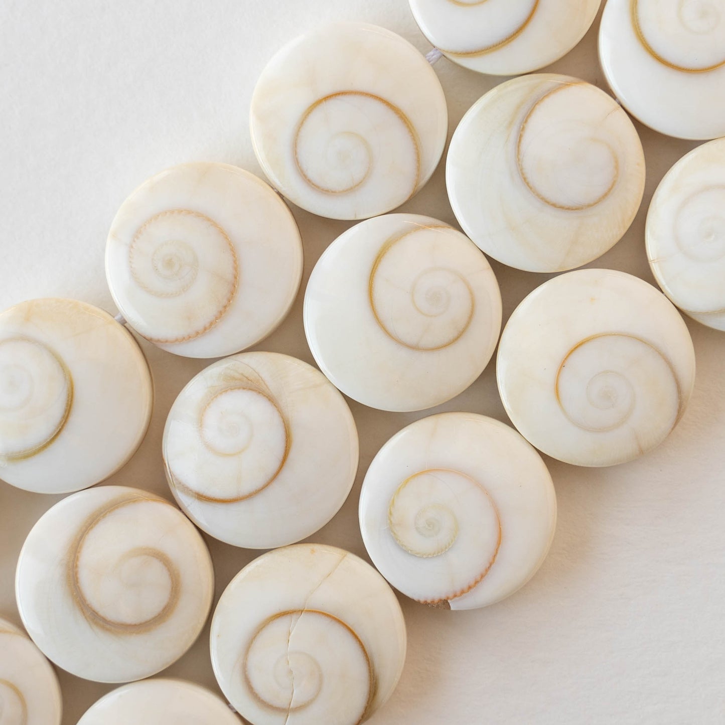 Shiva Shell Beads - 16mm Coin - 6 or 18 coins