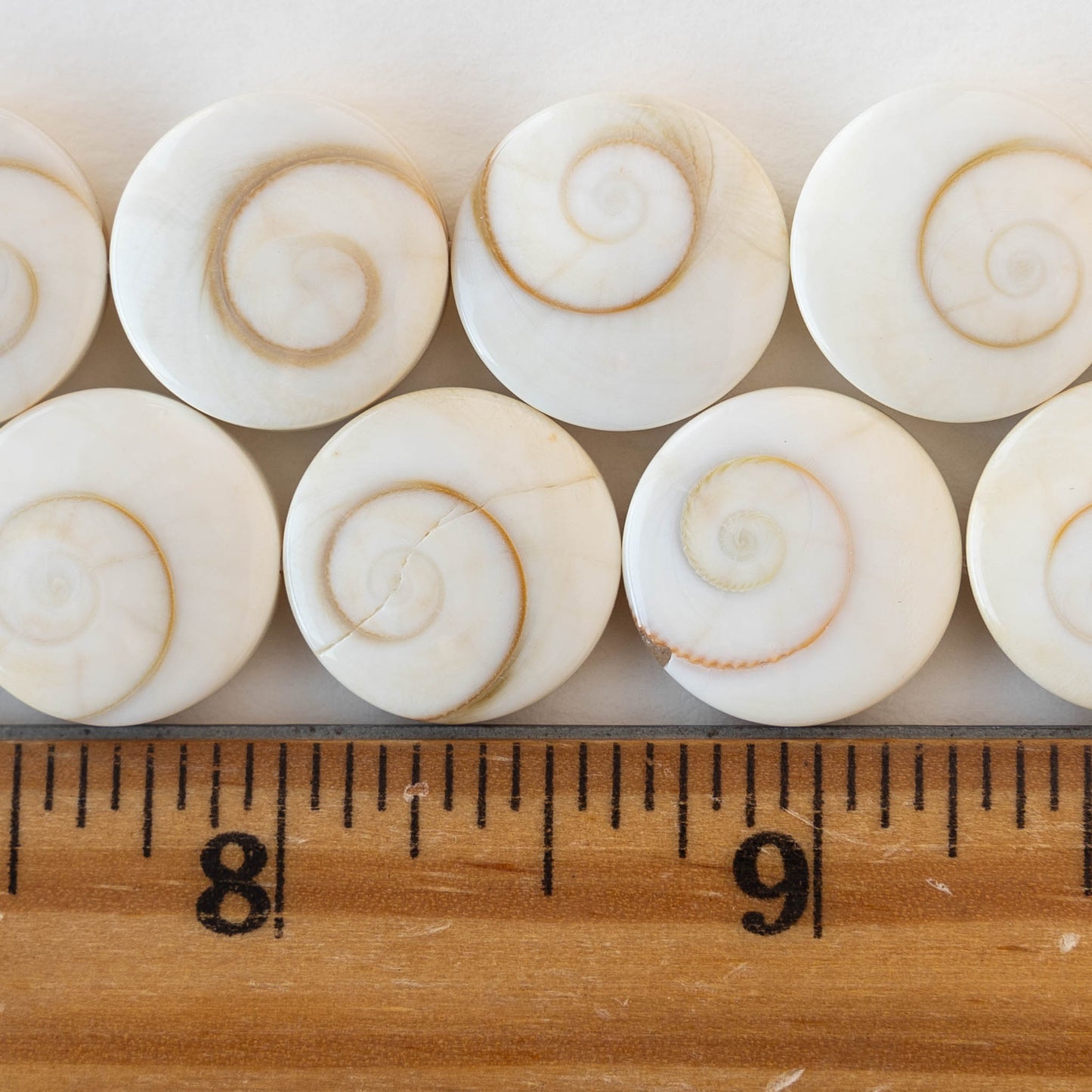 Shiva Shell Beads - 16mm Coin - 6 coins