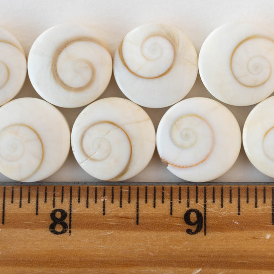 Shiva Shell Beads - 16mm Coin - 6 coins