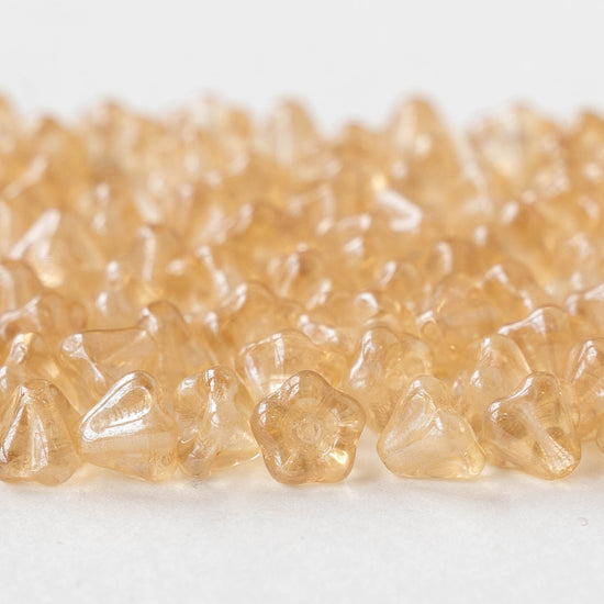 4x6mm Glass Flower Beads - Champagne - 50