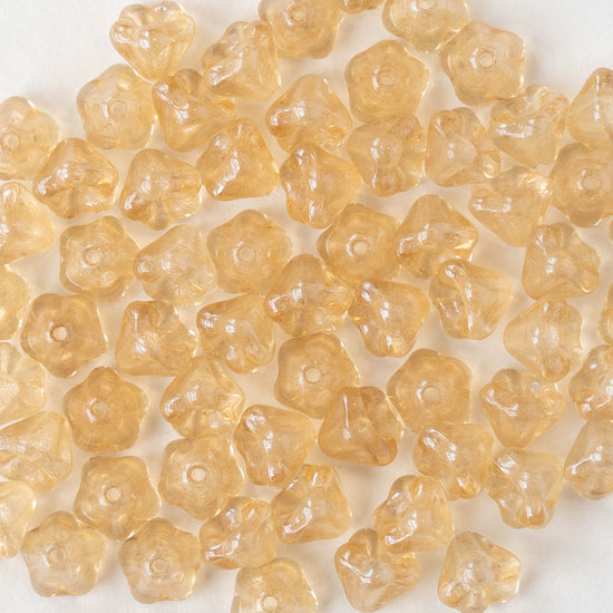 4x6mm Glass Flower Beads - Champagne - 50