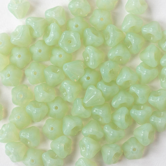 4x6mm Glass Flower Beads - Lt. Green Opaline - 50