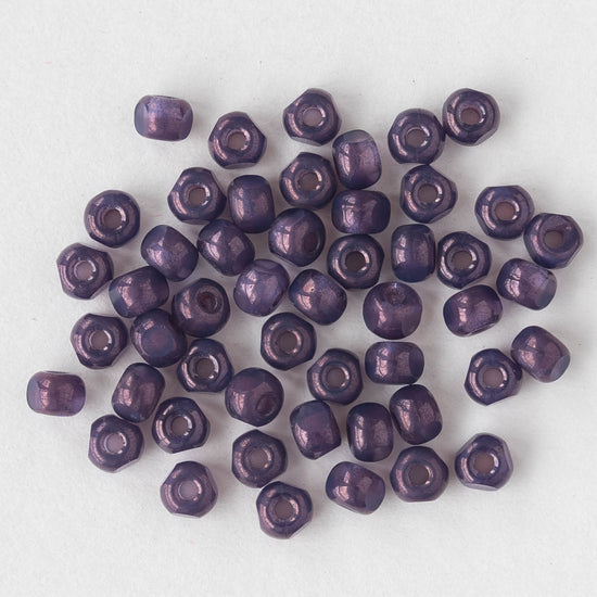 6/0 Tri-Cut Seed Beads - Purple Luster - 50