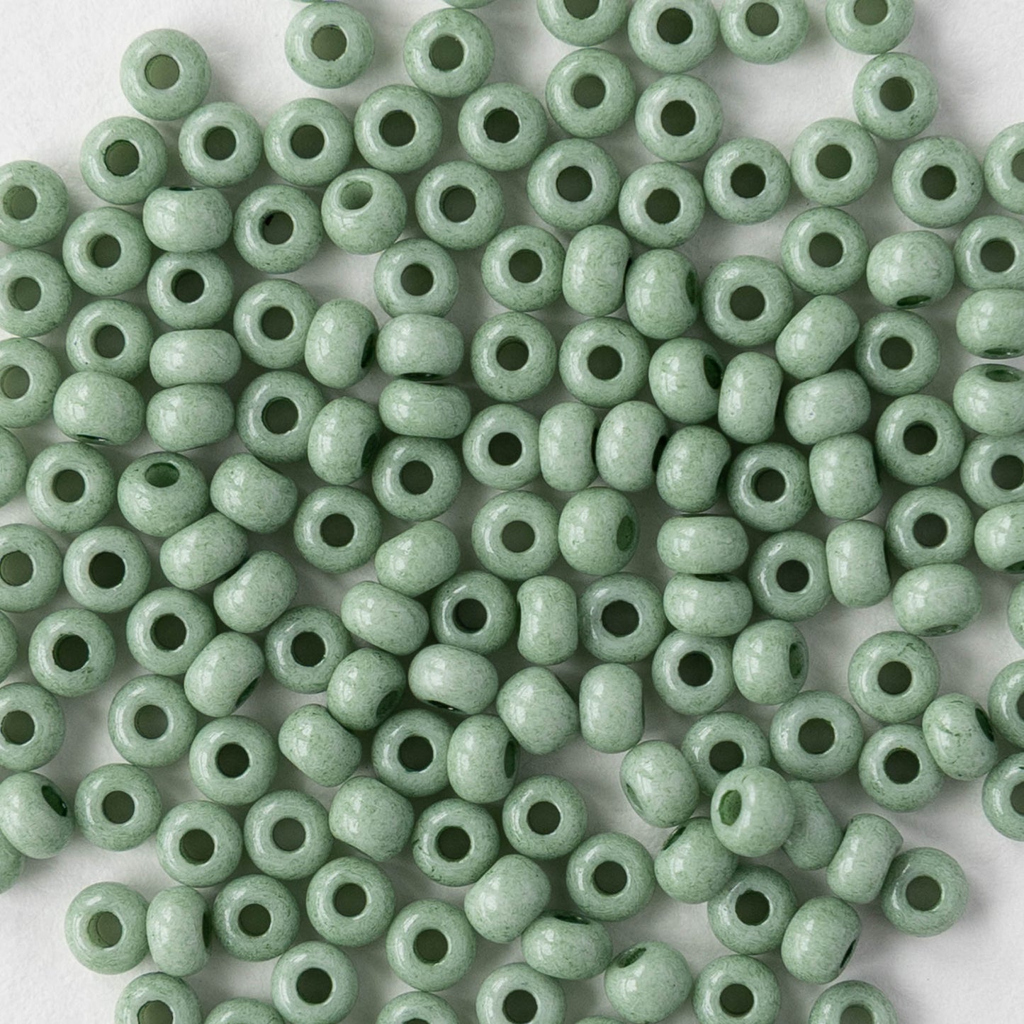 Size 8/0 Glass Seed Beads - Opaque Jade Solgel - 20 grams