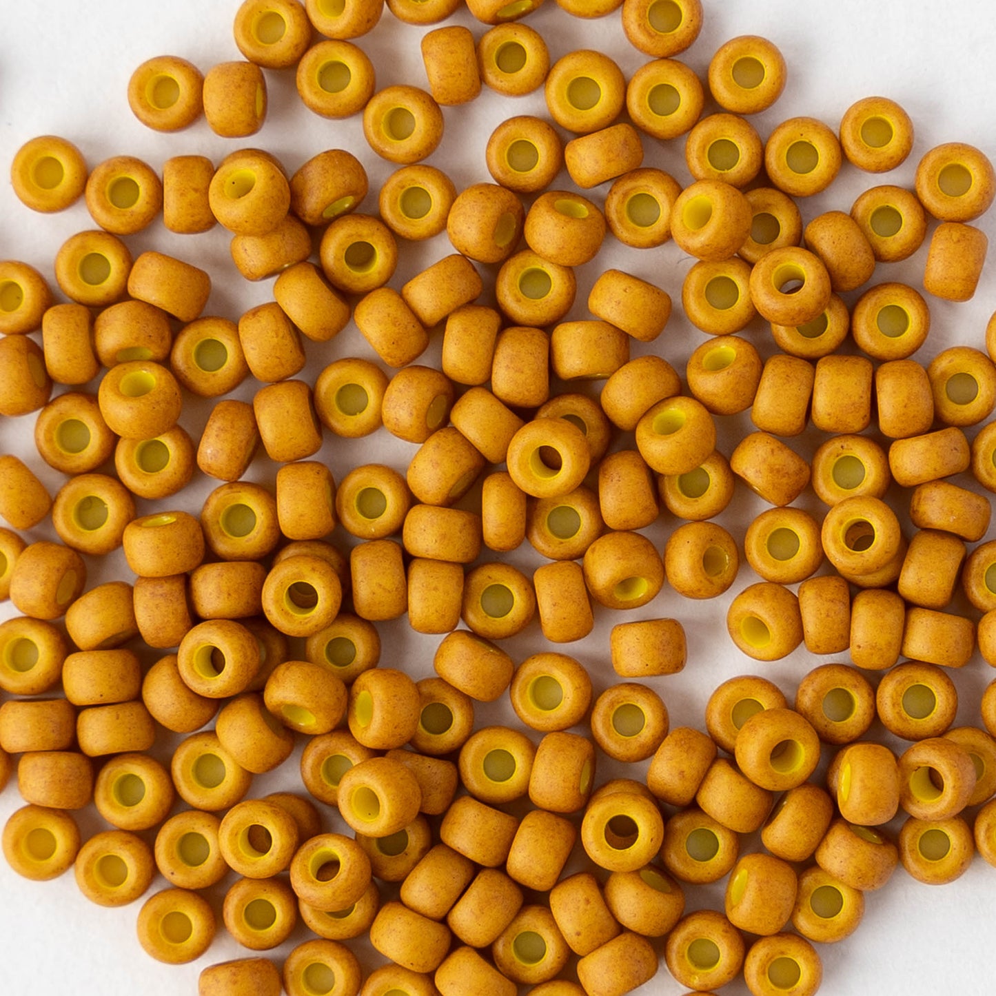 Size 8/0 Glass Seed Beads - Matte Opaque Mustard - 10 grams