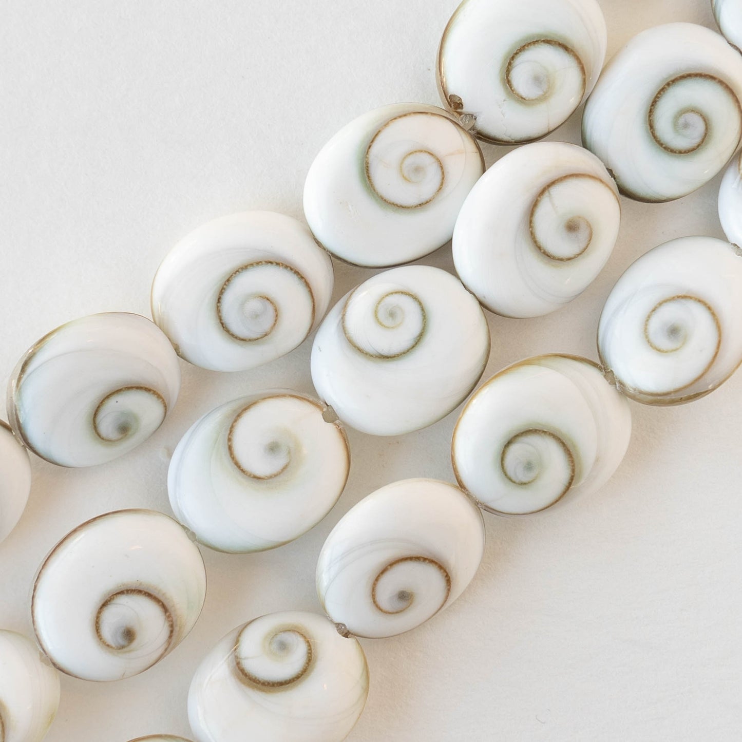 Load image into Gallery viewer, Shiva Shell Beads - 10x12mm Oval - 6
