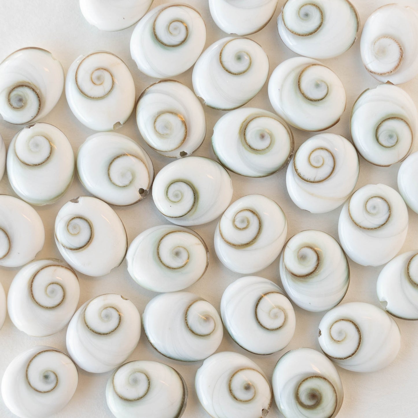 Load image into Gallery viewer, Shiva Shell Beads - 10x12mm Oval - 6
