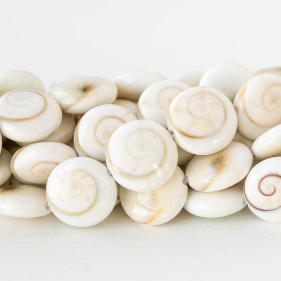 12mm Shiva Shell Coin Beads - 6 or 18 coins