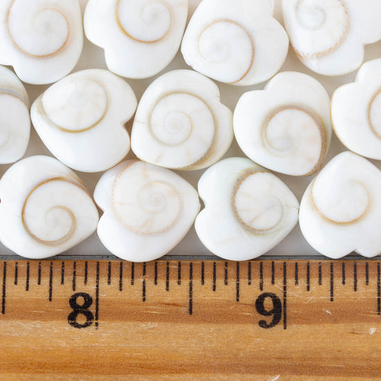 14mm Shiva Shell Heart Beads - 6 or 18 coins