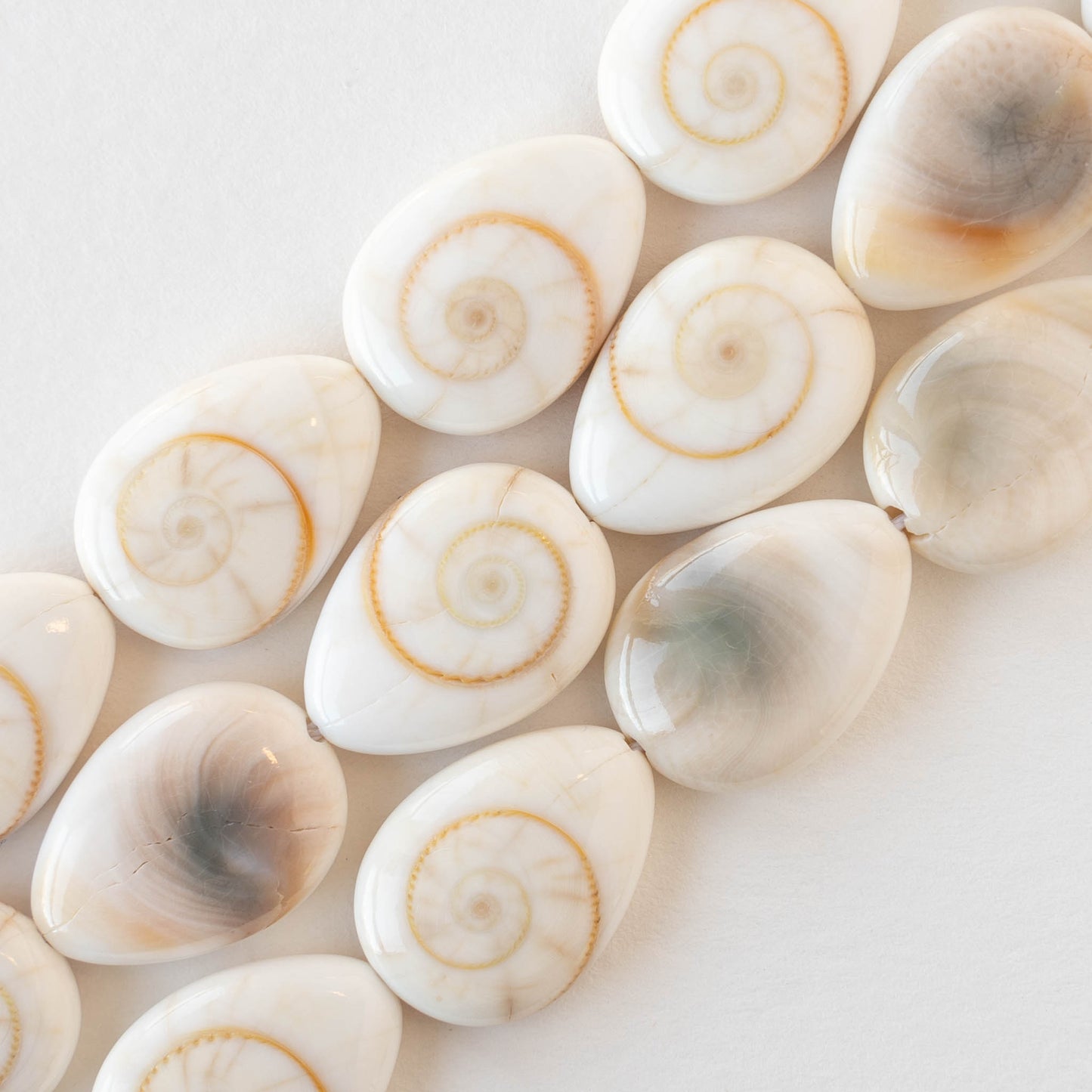 18mm Shiva Shell Teardrop Beads - 6 or 18 – funkyprettybeads