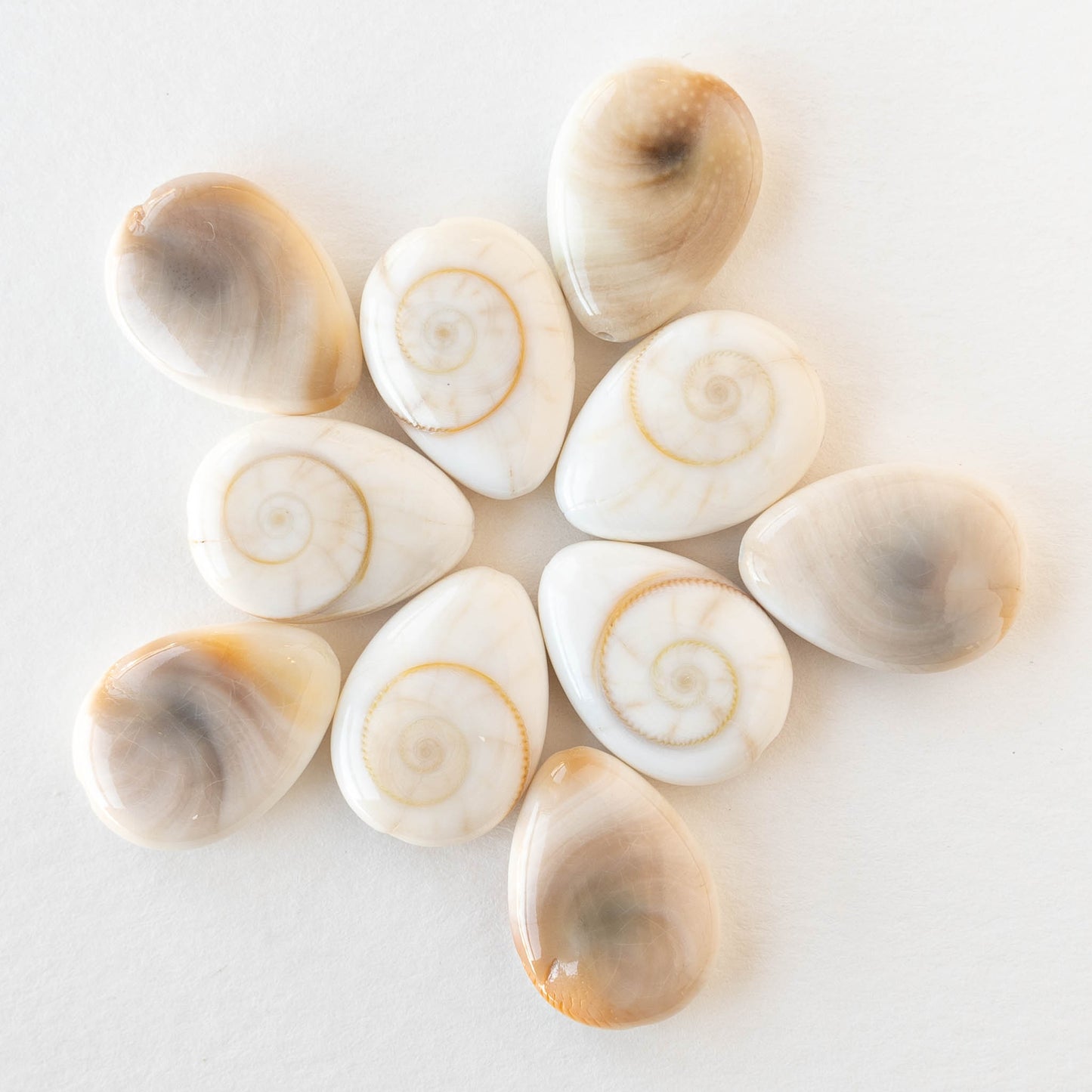 18mm Shiva Shell Teardrop Beads - 6 or 18 – funkyprettybeads