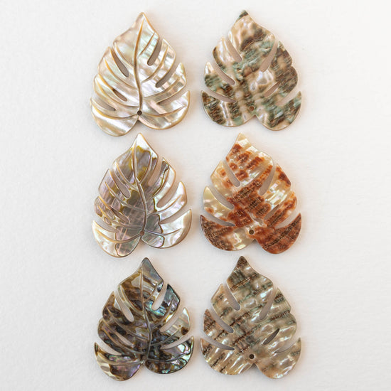 24x30mm Carved Abalone Monstera Leaf Shell Beads - 1 Pair