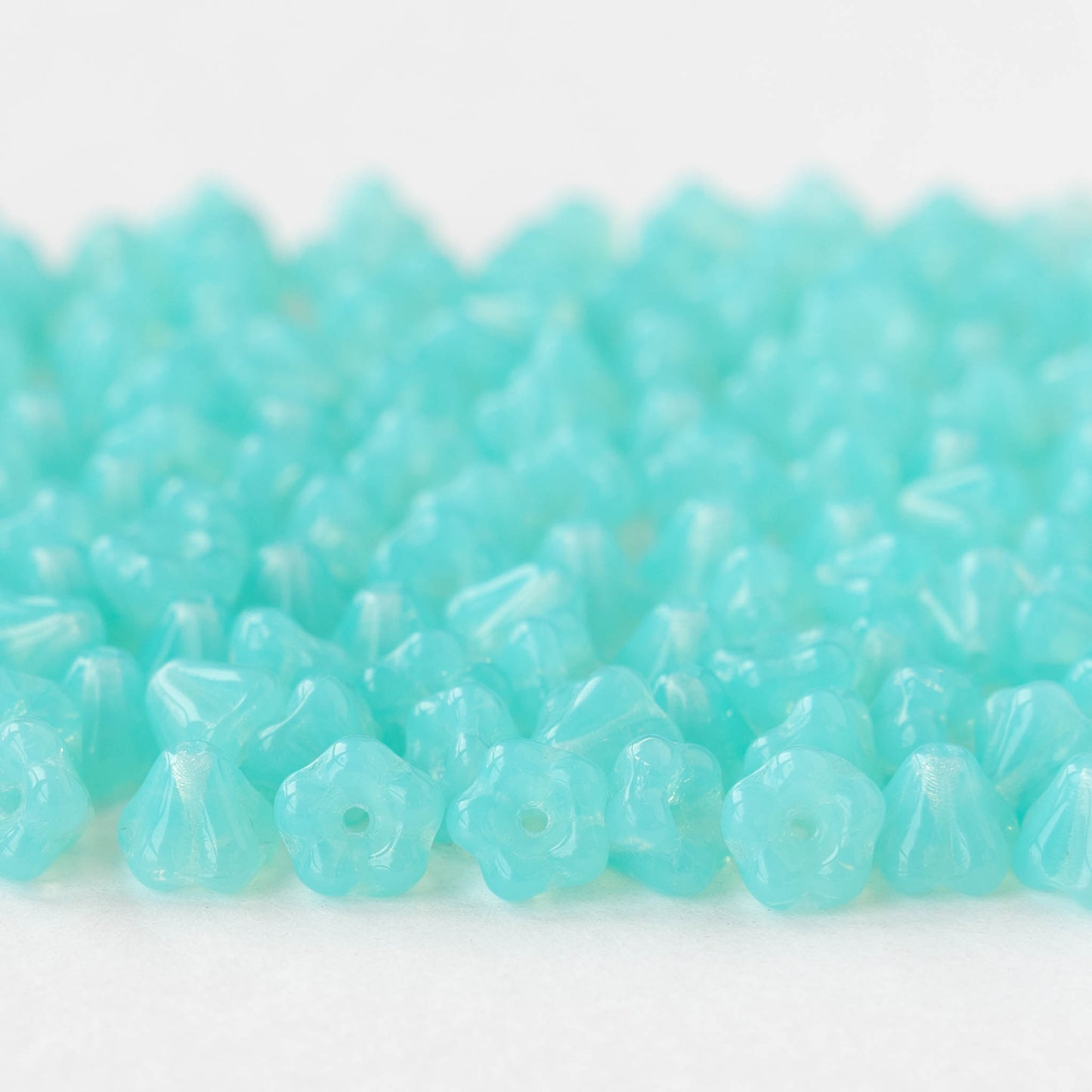 4x6mm Glass Flower Beads - Opaline Seafoam - 50 Beads