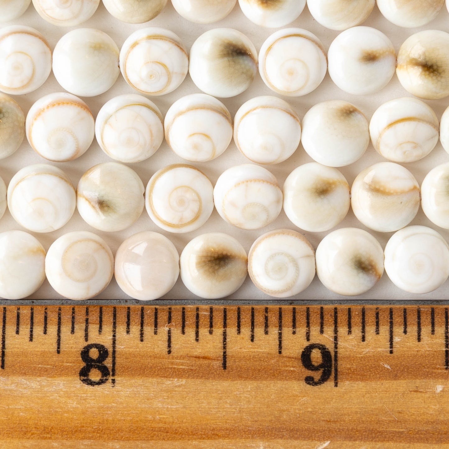 Shiva Shell Beads - 8mm Coin - 10 or 30 beads
