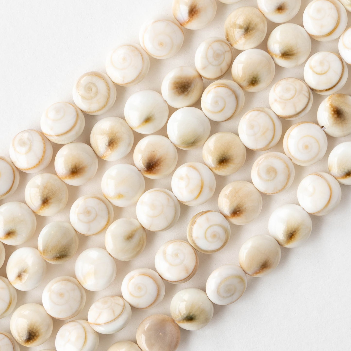 Shiva Shell Beads - 8mm Coin - 10 or 30 beads