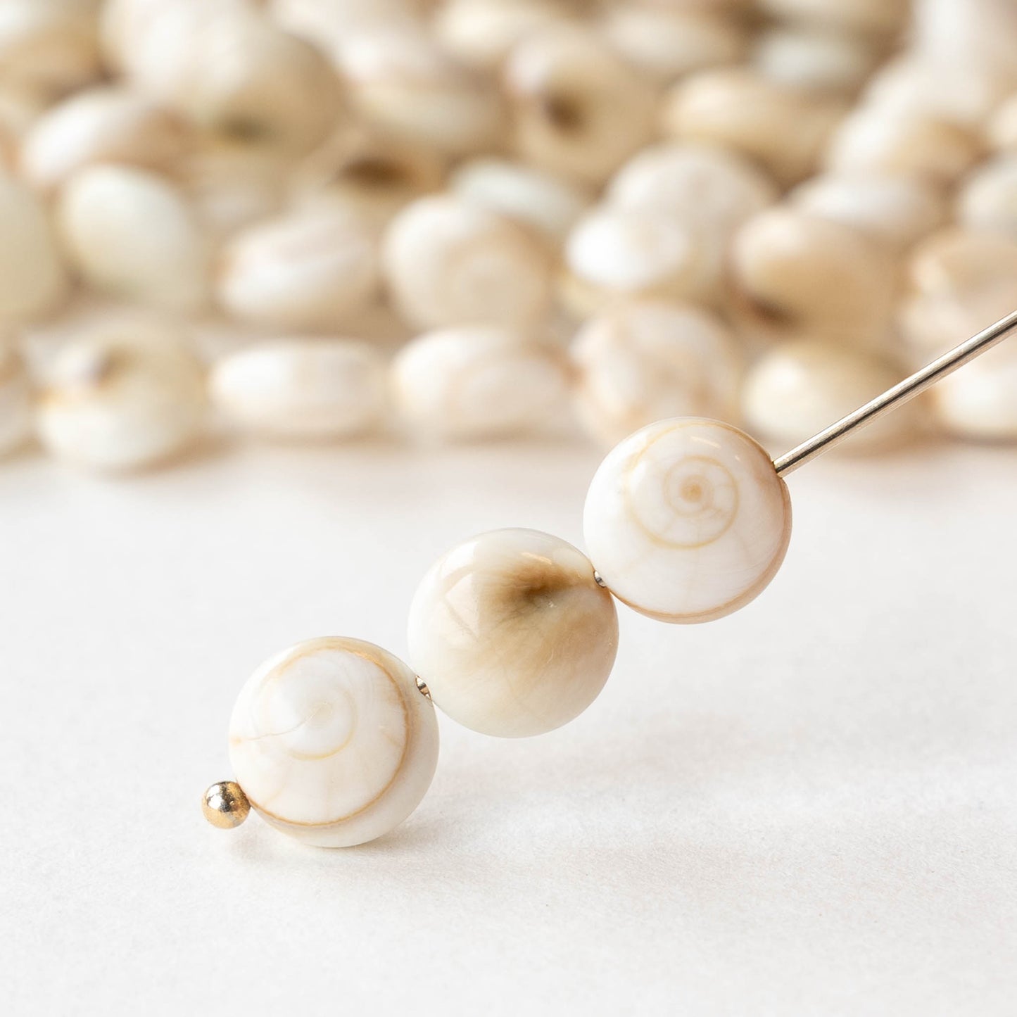Shiva Shell Beads - 8mm Coin - 10 or 30 beads