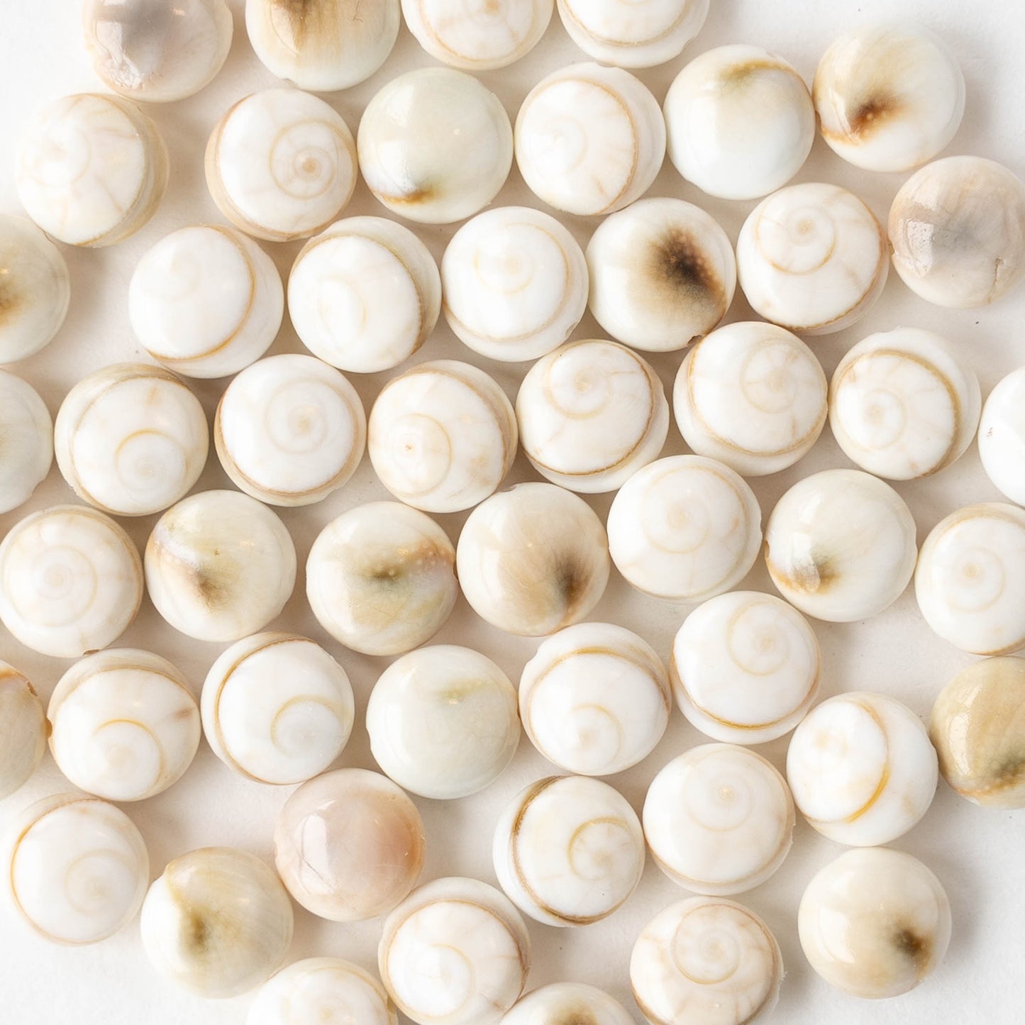 Shiva Shell Beads - 8mm Coin - 10 or 30 beads