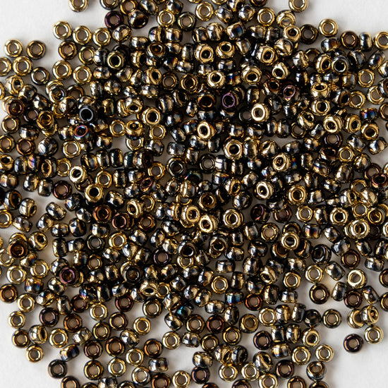 11/0 Seed Beads - Black and Gold - 10 grams