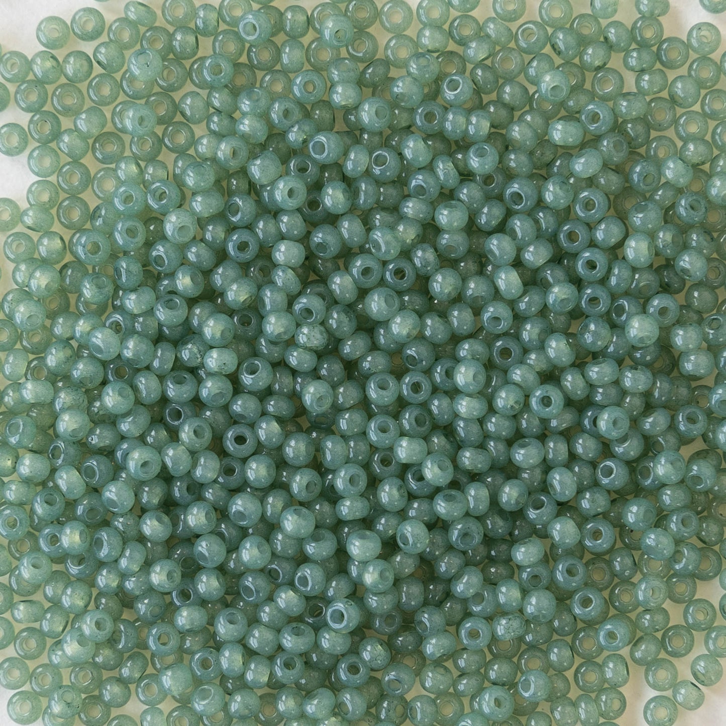11/0 Seed Beads - Sol Gel Jade Green Opal- 24 grams
