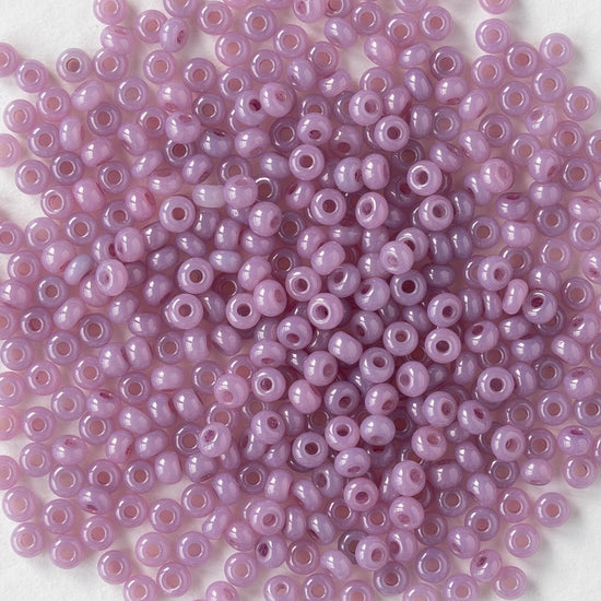 11/0 Glass Seed Beads - Opaline Lila - 10 grams