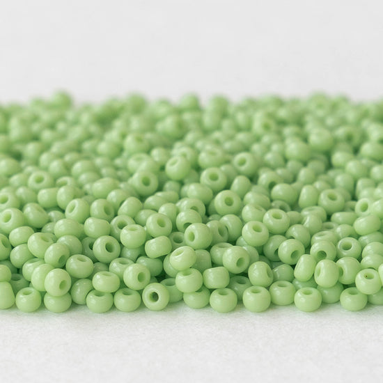 11/0 Beads - Opaque Light Green - 24 grams
