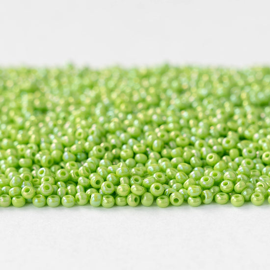 11/0 Glass Seed Beads - Opaque Light Green AB - 20 grams