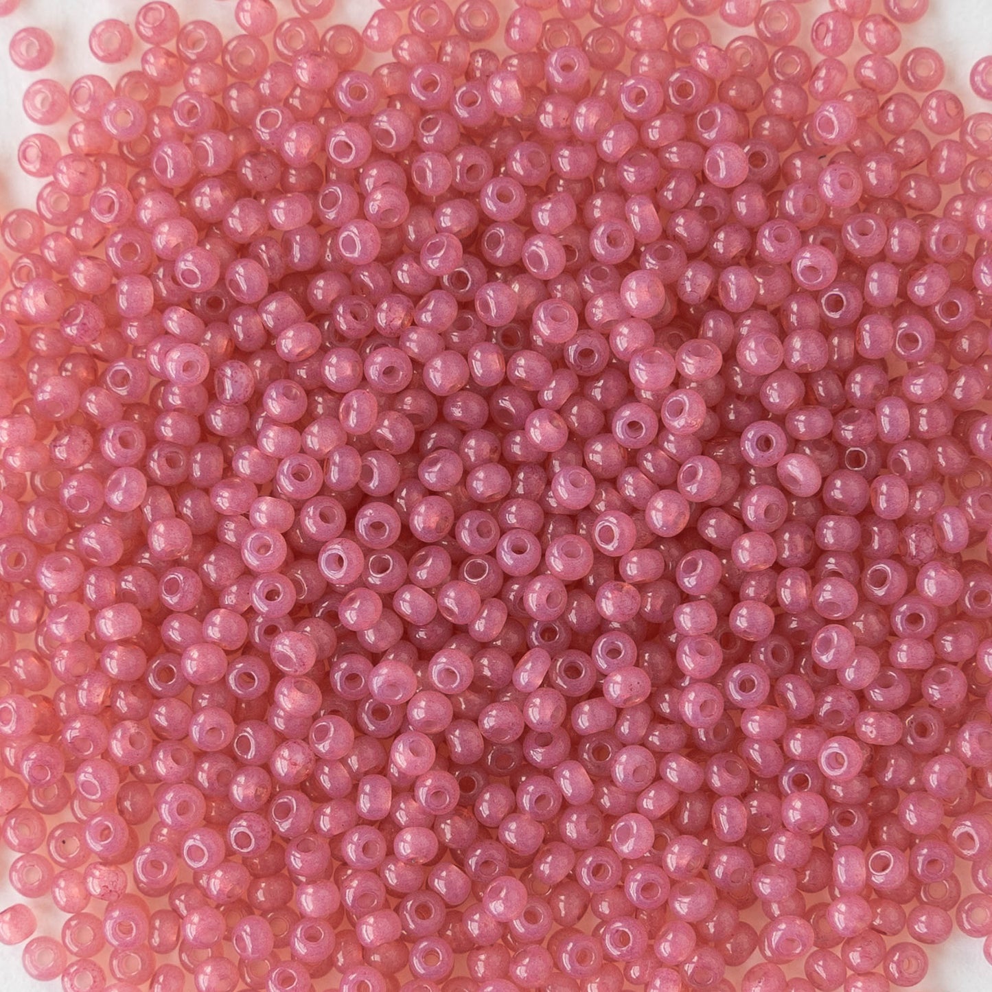 seed bead rose zech Seed Beads – funkyprettybeads