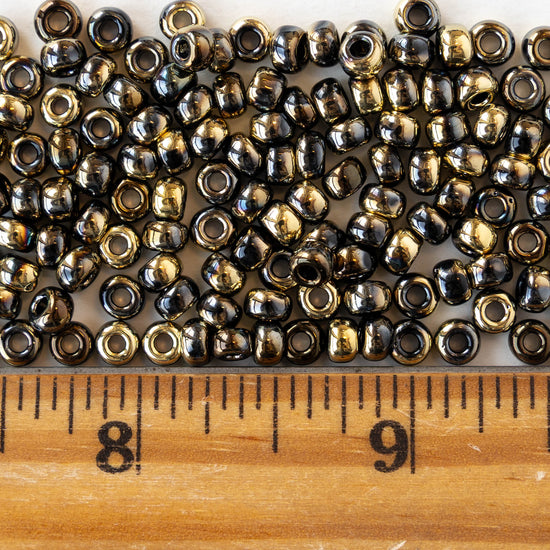 Size 6/0 Glass Seed Beads - Opaque Black and Gold - 10 grams