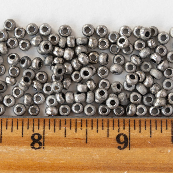 Size 6/0 Glass Seed Beads - Etched Crystal Argentic - 10 grams