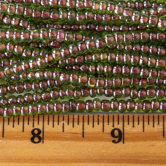 6/0 Seed Beads - Tourmaline - 2 Strands