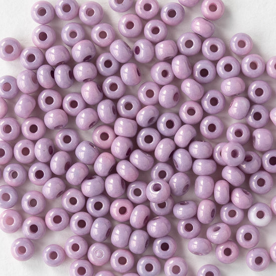 Size 6/0 Glass Seed Beads - Opaque Lila - 20 grams