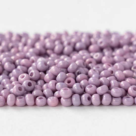 Size 6/0 Glass Seed Beads - Opaque Lila - 20 grams
