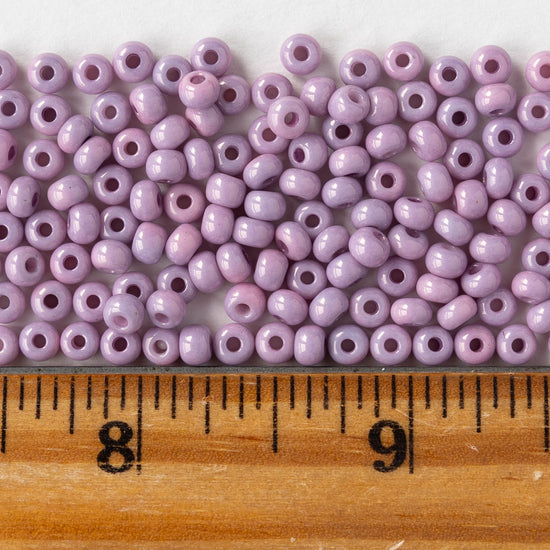 Size 6/0 Glass Seed Beads - Opaque Lila - 20 grams