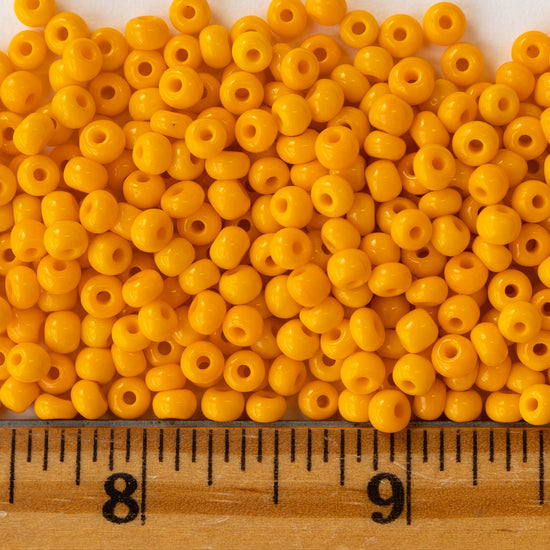 Size 6 Seed Beads - Opaque Light Orange - 3 Strands