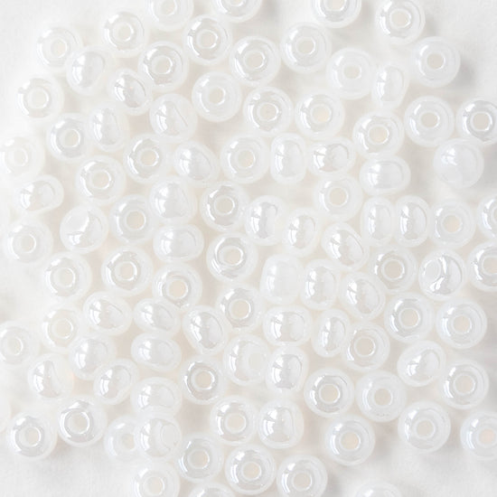 Size 6/0 Glass Seed Beads - Pearly White - 20 grams ~240 beads