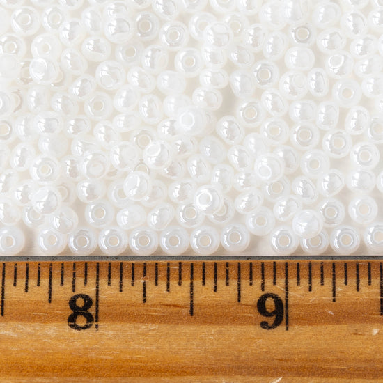 Size 6/0 Glass Seed Beads - Pearly White - 20 grams ~240 beads
