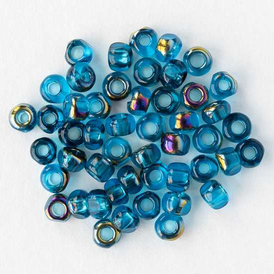 6/0 Tri-cut Seed Beads - Capri Rainbow - 50 Beads