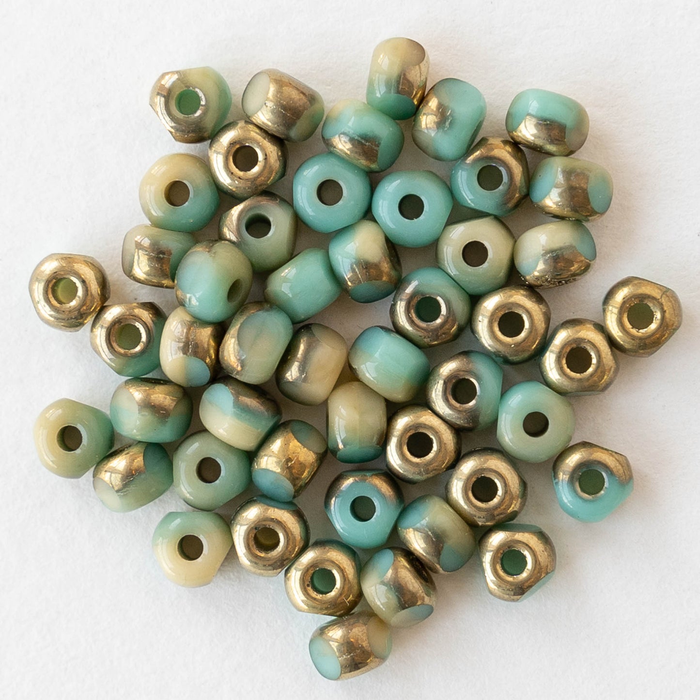 6/0 Tri-cut Seed Beads - Opaque Turquoise with Gold Finish - 50 Beads