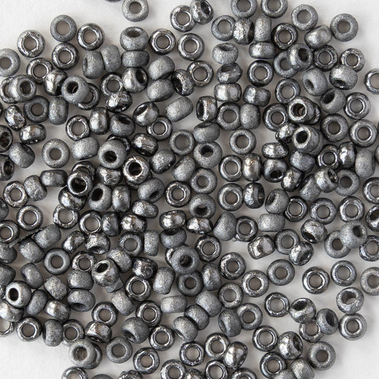Size 6/0 Glass Seed Beads - Etched Crystal Chrome - 10 grams