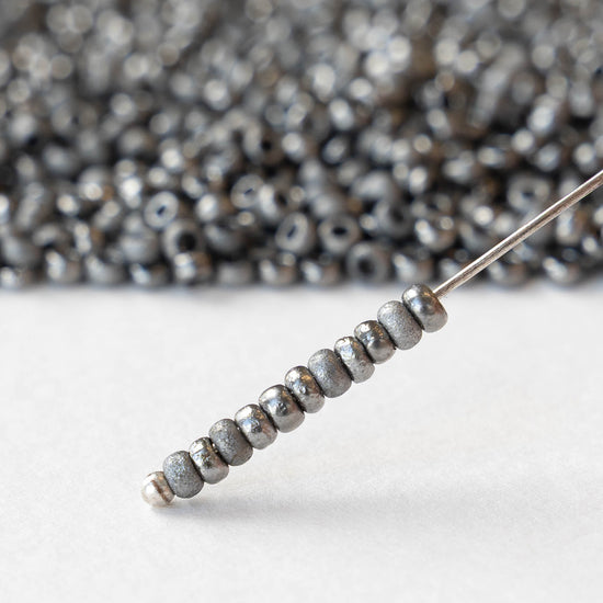 Size 6/0 Glass Seed Beads - Etched Crystal Chrome - 10 grams