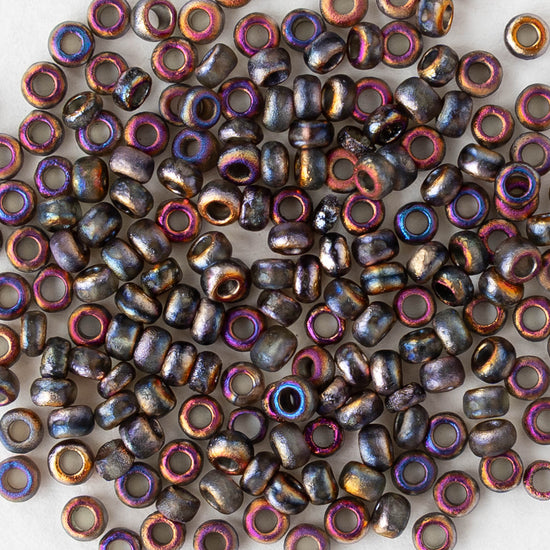 Size 8/0 Glass Seed Beads - Etched Crystal Sliperit - 10 grams ~180 beads
