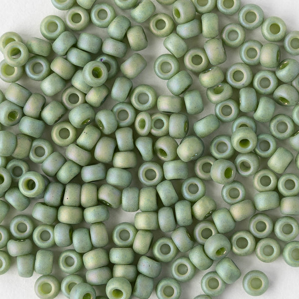 size-8-seed-bead-opaque-green-