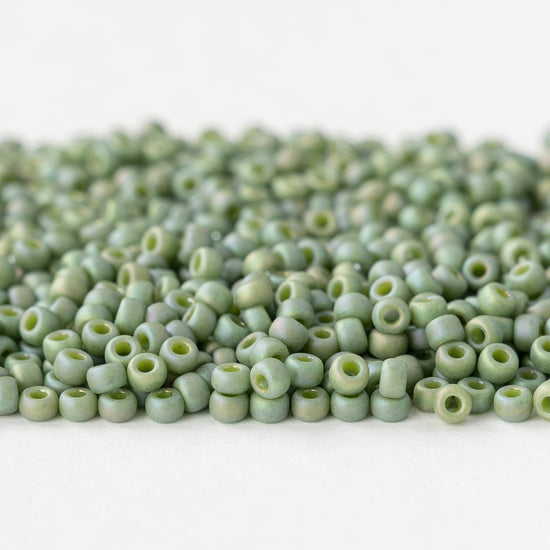 Size 8/0 Glass Seed Beads - Kiwi Rainbow - 10 grams