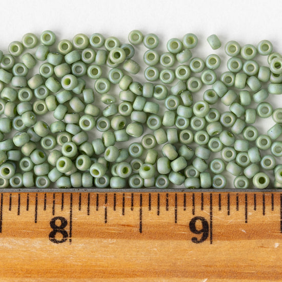 Size 8/0 Glass Seed Beads - Kiwi Rainbow - 10 grams