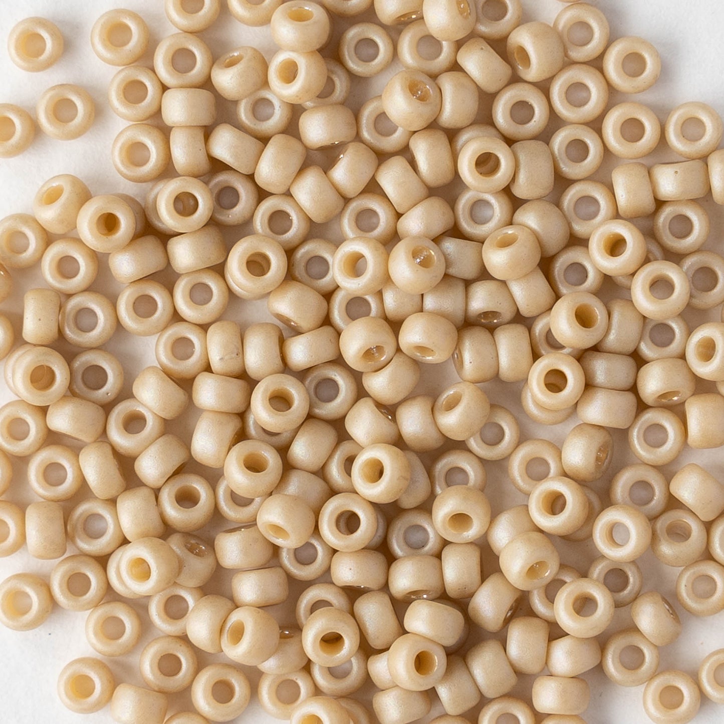 Size 8/0 Glass Seed Beads - Ivory Rainbow - 10 grams