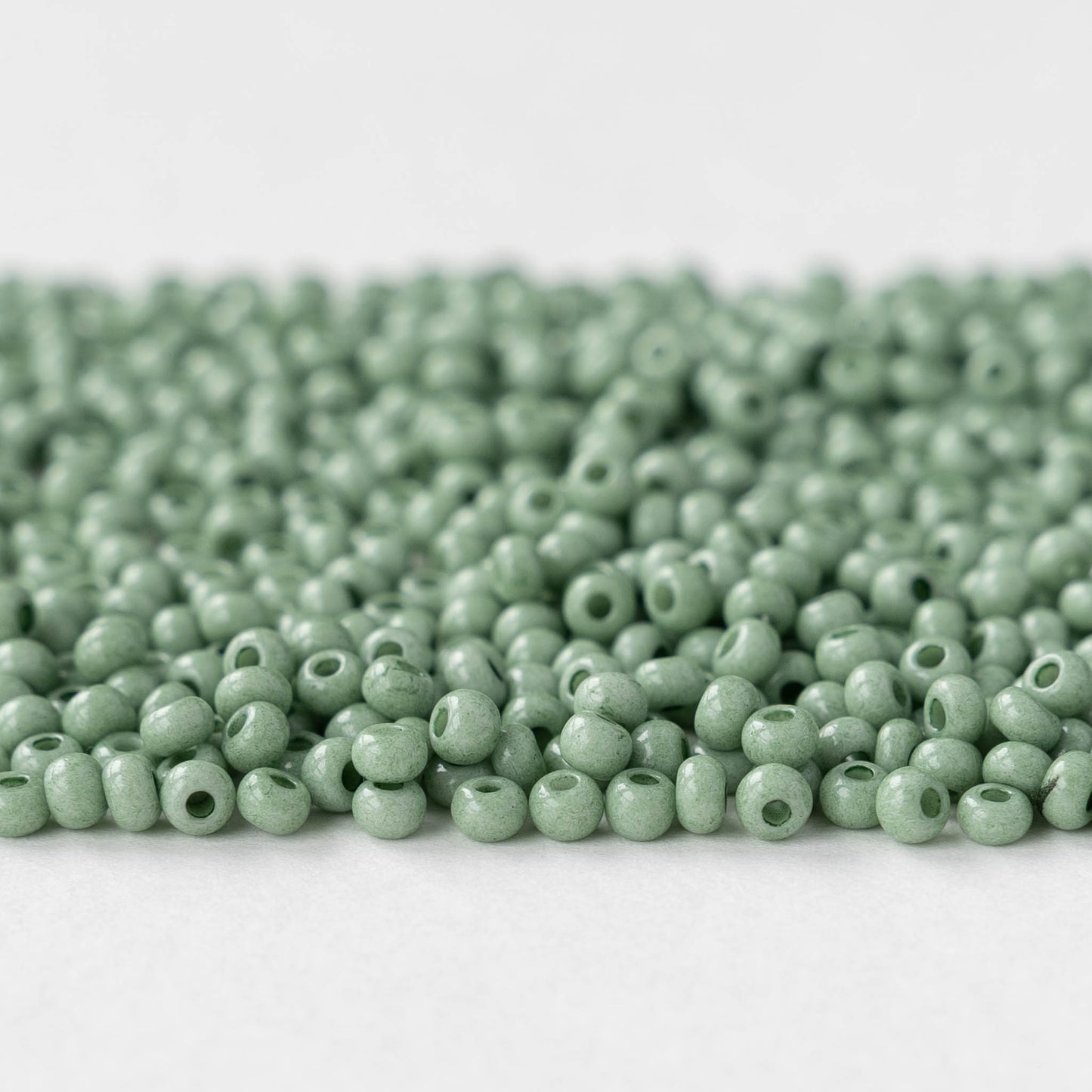 Size 8/0 Glass Seed Beads - Opaque Jade Solgel - 20 grams