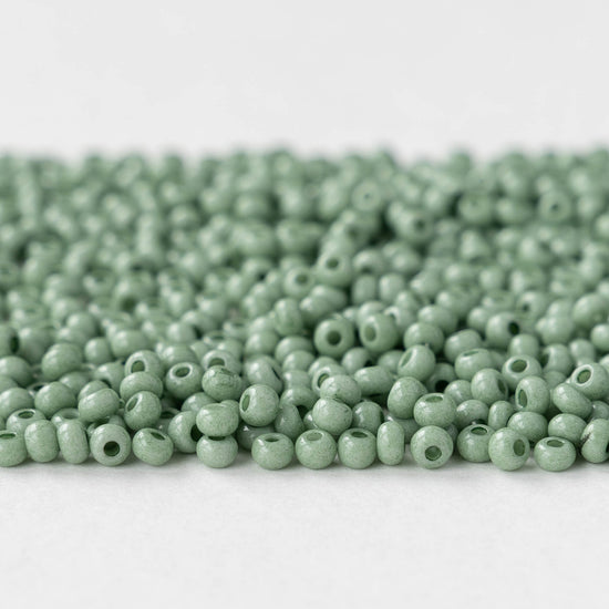 Size 8/0 Glass Seed Beads - Opaque Jade Solgel - 20 grams