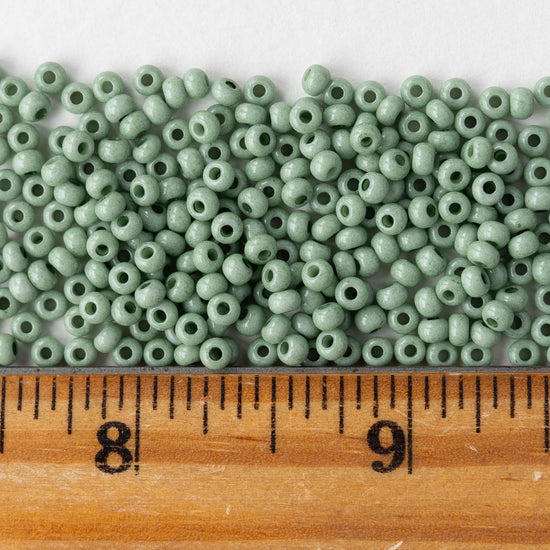 Size 8/0 Glass Seed Beads - Opaque Jade Solgel - 20 grams
