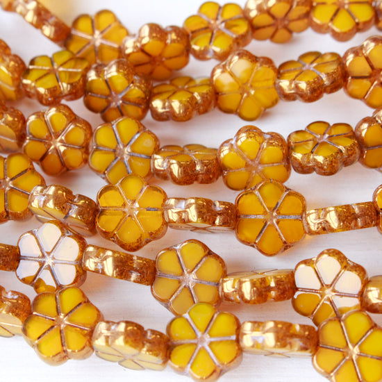 10mm Forget Me Not Flower Beads - Opaline Honey - 15 Beads